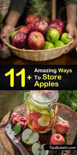 We did not find results for: 11 Amazing Ways To Store Apples