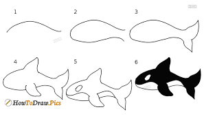 How To Draw A Orca Orca Whale Drawing Howtodraw Pics To explore more similar hd image on pngitem. orca orca whale drawing howtodraw pics
