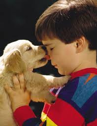 New LIBOR Member Benefits Guide Now Available...