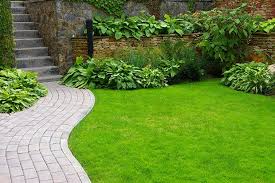 rasen anlegen rasen anlegen garten pflegeleichte gartengestaltung