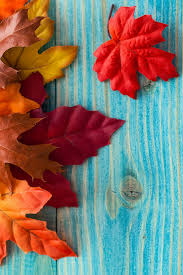 fall leaves iphone wallpaper hd