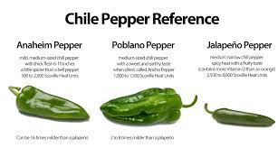 Substitute serrano peppers for extra hot hatch chiles. Hatch Chile Verde A Pinch Of Salt Lake