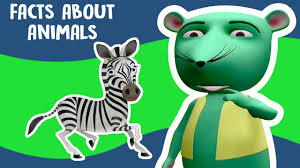 A intresting fact about animals for kids. Interesting Facts About Animals For Kids Video Compilation Youtube