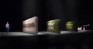 Allegra — Mark Borcherding