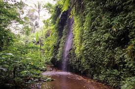 Lokasi dan harga tiket masuk tukad cepung waterfall 2020 sumber : Tukad Cepung Waterfall Bali 2021 Entrance Fee Location More Daily Travel Pill