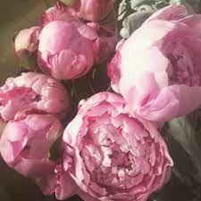 All long island hotels long island hotel deals by hotel type. Bayport Flower House Bayport Long Island Ny Bb Flowers Long Island Ny Bayport