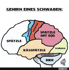Gehirn Eines Schwaben In 2020 Schwabische Spruche Schwaben Witze Schwaben