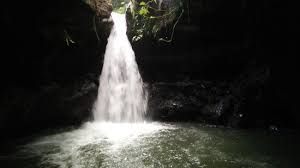 Sarang walet terbuat dari air liur burung walet yang mengering seiring dengan pertumbuhan sarang. Air Terjun Sarang Walet Review Of Burung Walet Waterfall Tetebatu Indonesia Tripadvisor