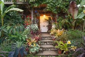 Tropical Garden Norfolk Google Search Balinese Garden Tropical Landscaping Tropical Garden Design