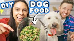 Keep in mind, some recipes are healthier than others, so be aware of your pup's weight needs. 5 Healthy Kong Recipes Fixing Allergies Anxiety Bad Breath In My Dogs Youtube