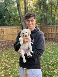 A fast kai havertz would break the game. Kai Havertz On Twitter Family Time During Self Isolation