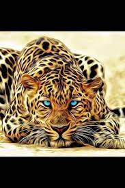 Children will love reading the crazy, cool, strange, weird, odd and funny information as well as did you know facts and other interesting animal info that will help them learn a thing or two along the way. Cool Art Wild Cats Animals Cat Art