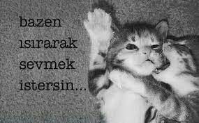 sara k adli kullanicinin meltem panosundaki pin sevimli sozler komik metinler yeni ask sozleri