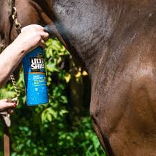 Homemade fly spray recipes for your horse. Horse Fly Repellent
