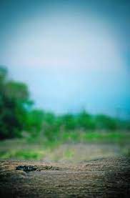 New Cb Background Hd Photo For Picsart Editing Download Zip All Type Whatsa Simple Background Images Photoshop Digital Background Blur Background Photography