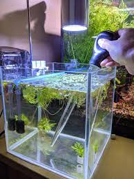 Pin On Fish Tank