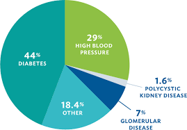 Often, the kidneys can withstand illnesses and are often able to continue to function. Causes Of Chronic Kidney Disease Fresenius Kidney Care