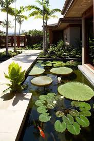 Tropical Lotus Pond Garden Water Features In The Garden Ponds Backyard Pond Design
