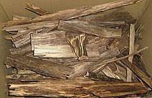 Meskipun ada yang menganggap gaharu dalam ayat itu memaksudkan tanaman dari famili lili yang nama botaninya sekarang adalah aloe vera (ind., lidah. Agarwood Wikipedia