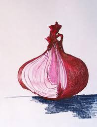 Red Onion By Sheron Petrie Onion Drawing Colored Pencil Artwork Drawings