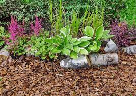 L'on peut également faire appel à lui pour sectionner un jardin d'agrément, potager ou tout simplement pour garnir un mur de maison. Faire Un Parterre De Fleurs Sans Entretien 7 Astuces Indispensables