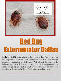 Need pest control in dallas, fort worth or plano? Bed Bug Exterminator Dallas
