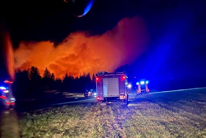 Beschiss bei "Bauer sucht Frau": War Martin aus Übersee gar kein Single?