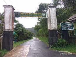 Jun 09, 2021 · desa malasari memiliki hamparan kebun teh bernama nirmala agung. Sejuknya Desa Wisata Malasari Bikin Malas Pulang