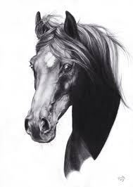 Horse drawing is made in the same way. Mustang Horse Head Drawing Peepsburgh