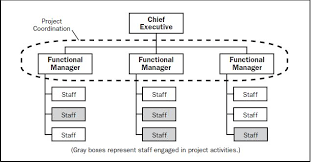 Projectized Organization Managingprojectsblog