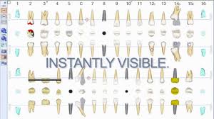 Denchart Advantage Restorative Charting