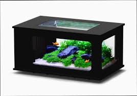 Nouveau Table Basse Aquarium Avis
