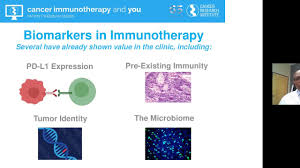 Need to translate cáncer from spanish? Biomarkers In Cancer Immunotherapy Cancer Research Institute Cri