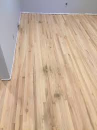 hardwood floor has pet sns