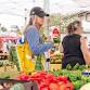 Farmers' Market at Lakewood Ranch event image