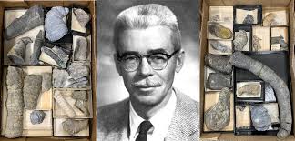 John W. Wells & Coral Geochronometry — Paleontological Research Institution