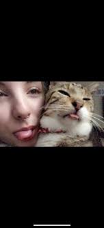 Lost cat in Wendell Ave/Joanne Ave/Richard Ave area