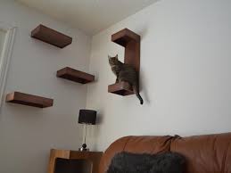 Now for something a little more modern that doesn't scream this is cat. Cat Wall Shelves Climbing Home Inspirations Cat Wall Shelves Ideas