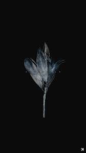 43 Dark Aesthetic Wallpaper On Wallpapersafari Tons of awesome black aesthetic wallpapers to download for free. dark aesthetic wallpaper on wallpapersafari
