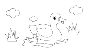 Have fun downloading these bird printable sheets and color away check out the rest of our pictures to color from the list on the side. Bird Coloring Pages For Kids Fun Printable Coloring Pages Of Our Feathered Friends Printables 30seconds Mom