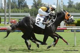 Pin On Horse Racing Continued