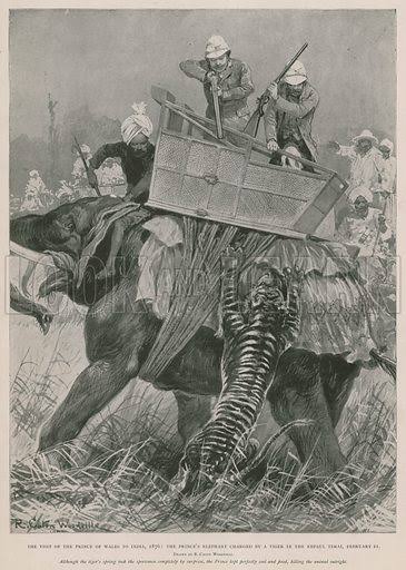 The Prince of Wales on a tiger hunt during his visit to India, … stock image | Look and Learn