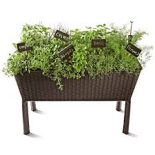 Fryers & outdoor cooking pots. Keter Easy Grow Elevated Flower Garden Planter Sam S Club Elevated Garden Bed Elevated Garden Garden Planters