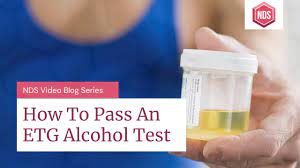 The test is very sensitive. How To Pass An Etg Urine Or Hair Alcohol Test Pass Your Etg Test Youtube