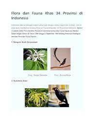 Dalam iucn redlist tercatat 38 hewan dan 28 tumbuhan yang berstatus extinct in the wild. Flora Dan Fauna Khas 34 Provinsi Di