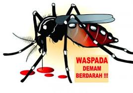 Hit obat nyamuk aman bagi keluarga republik seo. Kasus Dbd Membeludak Boltim Rawan Skh Media Sulut