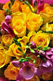 A Bouquet Of Yellow Roses Beautiful Rose Flowers Rose Flower Wallpaper Pretty Flowers