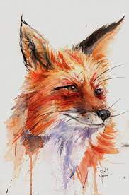 Aquarela Por Toda Parte Raposa Aquarela Aquarela Pintura De Raposa