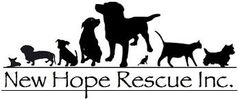 New hope rescue inc., colorado springs, colorado. New Hope Rescue Inc Home Facebook