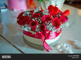 We did not find results for: Heart Shaped Bouquet Image Photo Free Trial Bigstock